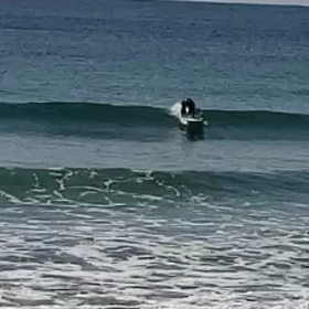 ショックでしたの画像