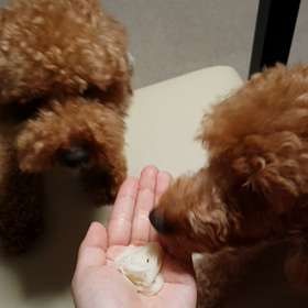 素麺ハンター☆の画像