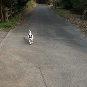 気にしない…気にしない…の画像