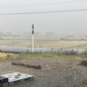 あまりにも雨が酷いのでの画像