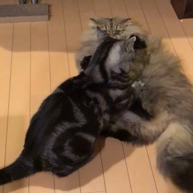 本当に申し訳なくての画像