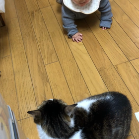 又孫が来てフラダンス行けず、デールが逃げた場所。の画像