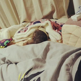 潜った！の画像