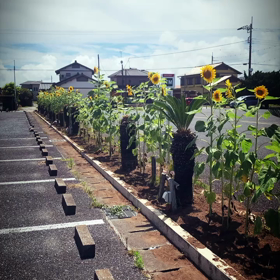 おはようございます！の画像