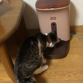 意外と出ちゃうのね。これからガーデニング部…雑談に参加出来ないかも。の画像