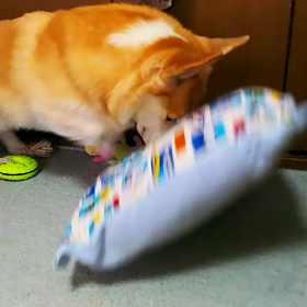 ほって、ほって、またほって～♪の画像