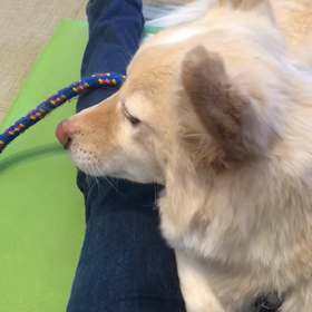 おっくんの画像