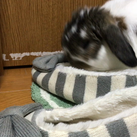 お片付け♡の画像