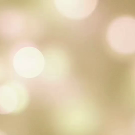 満足セブ旅行2の画像