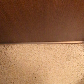 ネコにじゃらされ 2の画像