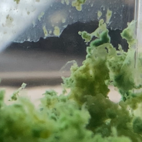 みんな大人♡の画像