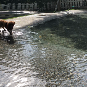 オマケ ②の画像