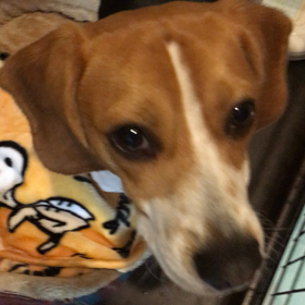 おはようございます〜の画像