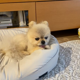 自分を信じて！の画像