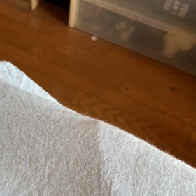 心眼ヤンキー犯罪訴え。の画像