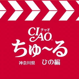 ひのちゅーるの画像