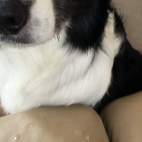 食欲の秋の画像