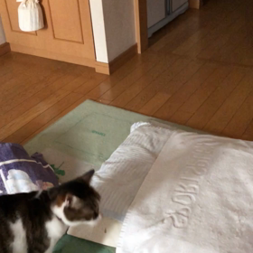 信じられないが、いつかは…  シビアな娘。の画像