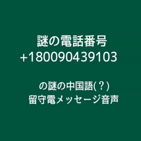 謎の画像