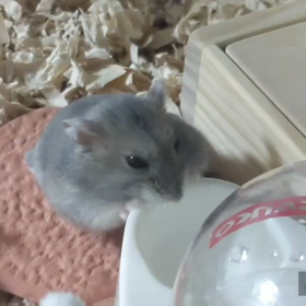 やめられないとまらないの画像