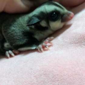 ご家族様募集中♡の画像