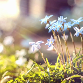 あなたを超えていってください。の画像