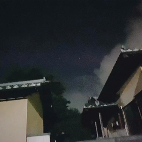 夜の散歩道の画像