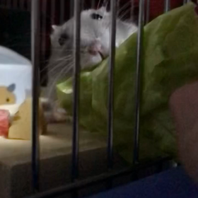 何故かスローモーションの画像