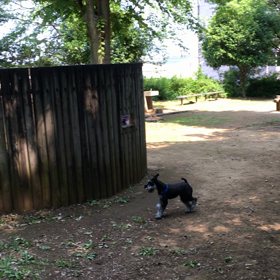 ラキとパパのかくれんぼ！の画像