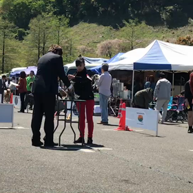 ドッグショーの画像