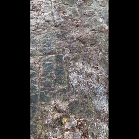 OFFからONへ　休み明けの過ごし方の画像