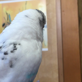 母さんを呼ぶ、の図の画像