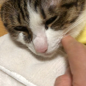 ずーっと継続中の今の私の悩み。デールちゃんも悩みむ。の画像