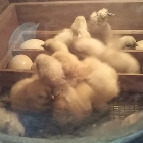 仕事から帰ると＼(^o^)／の画像