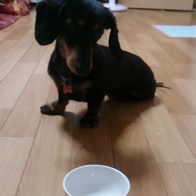 今日はこの日。の画像