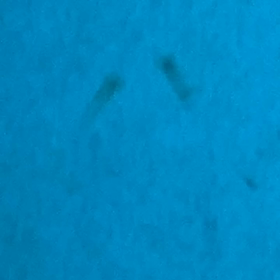 久々の2度目まして(笑)の画像