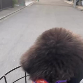 宇野樹君インスタストーリーより　幼稚園の帰りの画像