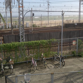 釣り禁止の画像