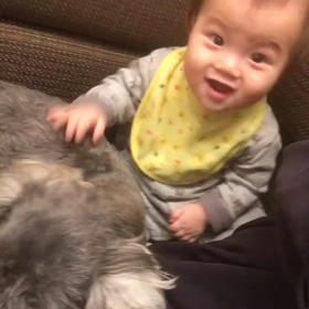 息子のオモチャ…の画像