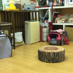 お得意だものね。の画像