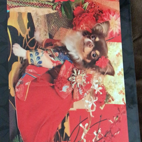 着物フォトブック♡の画像