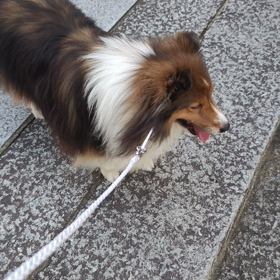 階段について<(￣︶￣)>の画像