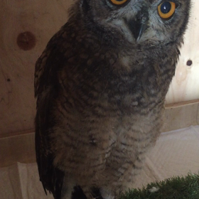 もーにんの画像