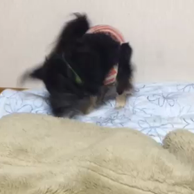 アナアナホリホリ▶︎▶︎の画像