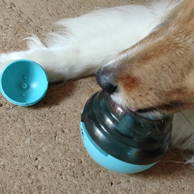 確信犯！の画像