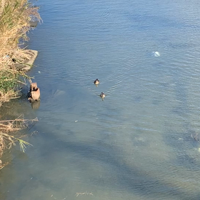 80代のパワー☆の画像