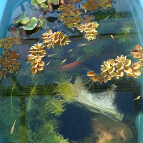 連続投稿♥️の画像