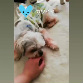 ねぇ〜遊ぼう♫の画像