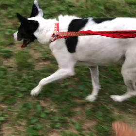 ♪お散歩動画♪代々木公園♪の画像