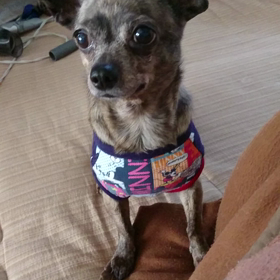 モヤモヤイライラの画像